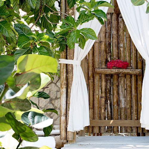 A garden doorway with white drapes tied back, a wooden gate, and lush green leaves in the foreground.