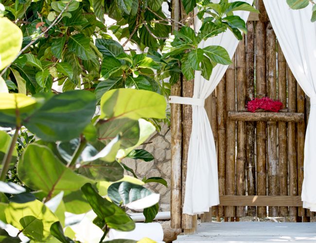 A garden doorway with white drapes tied back, a wooden gate, and lush green leaves in the foreground.