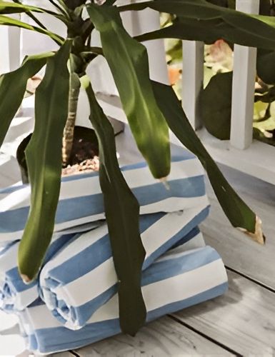 Potted plant with long green leaves sits on a wooden deck beside neatly folded blue-and-white striped towels, sunshine casting shadows.