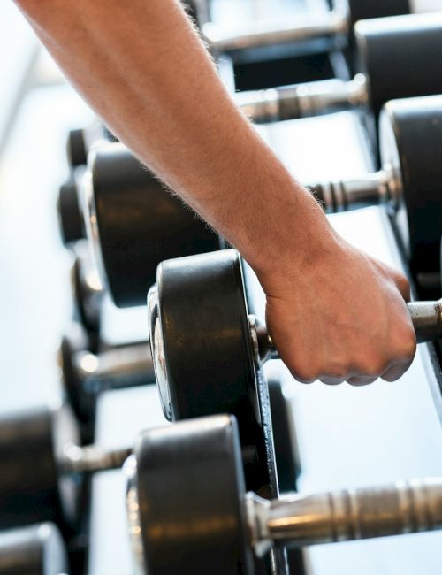 A person gripping a dumbbell in a gym, with row of free weights lined up on a rack near them.