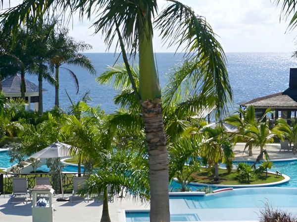 Tropical resort scene with tall palm trees, a bright pool area, lounge chairs, umbrellas, and a clear blue ocean in the background.