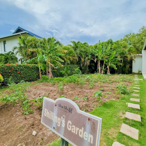 The Cliff Hotel Jamaica