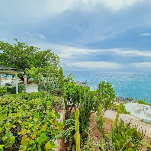 A lush coastal garden with green shrubs and succulents overlooks a blue sea under a partly cloudy sky.