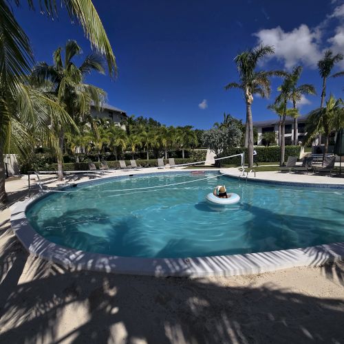 Resort-style pool with clear blue water, palm trees, sunny sky, and a person relaxing in the center.