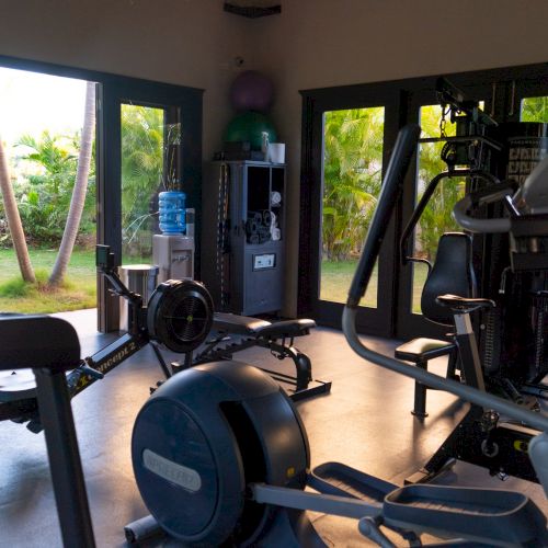 A modern gym with cardio and strength machines, large windows, and natural light streaming in from outside.